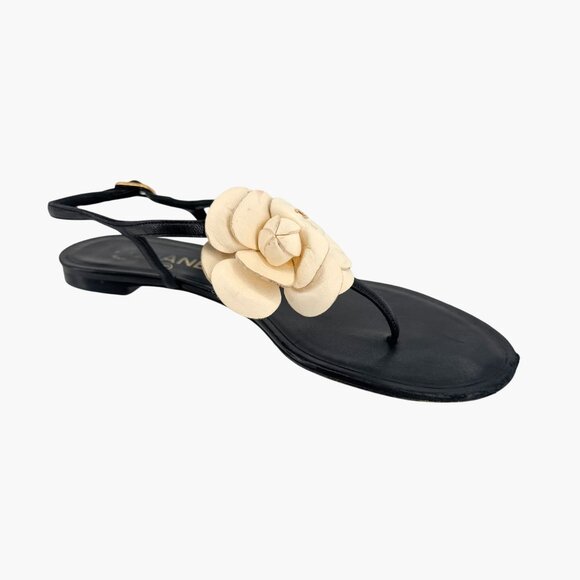 Chanel Camellia Flower CC Sandals Size 37.5C US 6.5-7 Black Leather Flat T-Strap - Picture 11 of 14